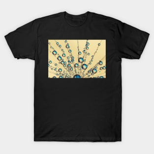 Peacock Blue Dandy Fan T-Shirt